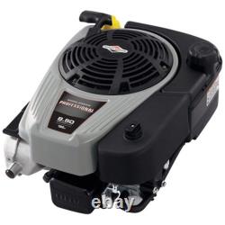 Briggs & Stratton 123P02-0015-F1 Vertical Engine