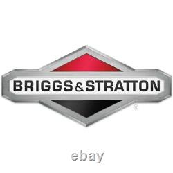 Briggs & Stratton 550 Series Engine 5.5FT LBS Gross Torque 83132-1035-F1 127CC