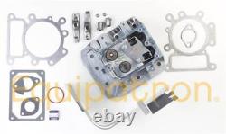 Briggs & Stratton 796026 Cylinder Head Replaces # 794123 796005 794223 793990