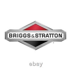 Briggs & Stratton 841050 Flywheel Assembly