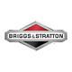 Briggs & Stratton 841050 Flywheel Assembly
