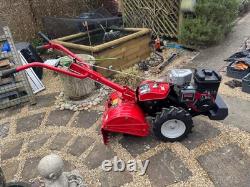 Briggs & Stratton 900 Series, 205cc mtd T/450