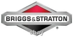 Briggs & Stratton OEM 84003204 Carburetor