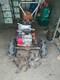 Briggs & Stratton Rotovator 250cc Fully Working Complete With Tynes
