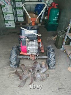Briggs & Stratton Rotovator 250cc Fully Working Complete With Tynes