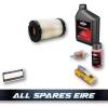 Briggs & Stratton Service Kit For 4145 4155 4165 4175 4185 4195 E/ex Series