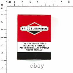Briggs and Stratton 192909GS Circuit Board