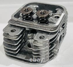 Briggs and Stratton 809201 Cylinder Head Assembly
