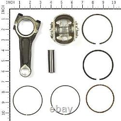 Briggs and Stratton 844540 Piston/Rod Assembly