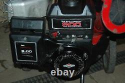 Briggs and Stratton Earthquake professional Chipper Shredder