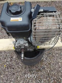 Briggs and Stratton Engine