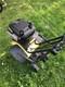 Briggs And Stratton Petrol Rotovator Quantum Xte 55