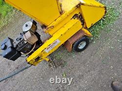 Chipper shredder with petrol engine