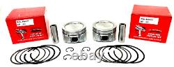 Engine Overhaul Kit Fits Briggs & Stratton Vanguard Engine Pistons Rods Valves