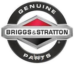 Genuine Briggs & Stratton 1737220YP MULTI-SPEED V-BELT