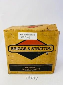 Genuine OEM Briggs & Stratton 391065 Carburetor NOS
