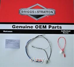 Genuine OEM Briggs and Stratton 696576 Wiring Harness