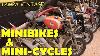 Incredible Stash Of Minibikes Mini Cycles And Mini Motorcycles Found In Tampa