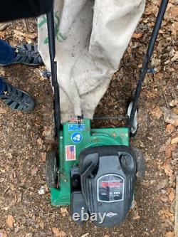 Little Billy Goat Garden Leaf Vacuum Briggs & Stratton