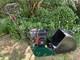 Masport Olympic 400 Lawnmower 16in Petrol Cylinder Brings & Stratton Engine