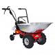 Minidumper Edvige With Engine A Petrol Briggs&stratton 125cc With Reverse