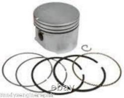 OEM Briggs & Stratton 795691, Standard Piston with Rings and Circlip USA Seller