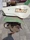 Rotivator Tiller Briggs And Stratton