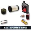 Service Kit For 500cc Intek & Powerbuilt Briggs & Stratton Ride On Engines