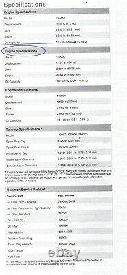 SPECIAL! Briggs & Stratton Professional Series 875 Engine 7/8 Vertical Shaft