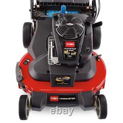 Timemaster 30 In. Briggs Stratton Personal Pace Self-Propelled Walk-Behind Gas